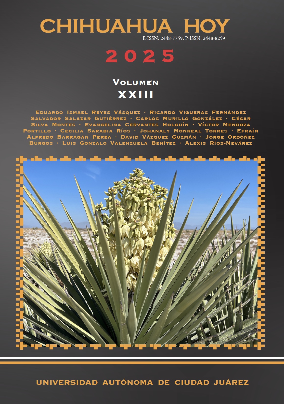					Ver Vol. 23 (2025)
				